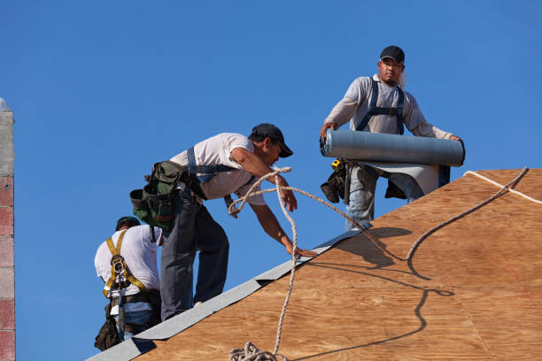 Best Local Roofing Companies  in Westby, WI