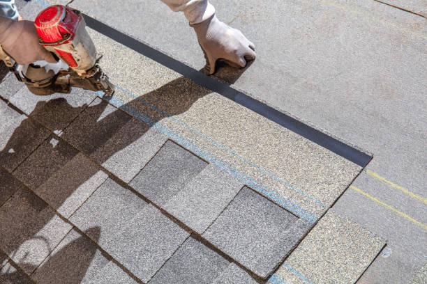Best Roof Gutter Cleaning  in Westby, WI